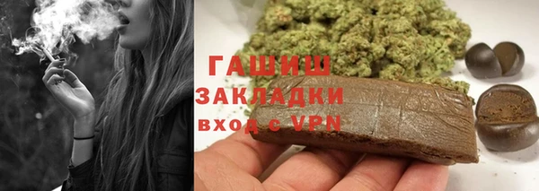 индика Аркадак