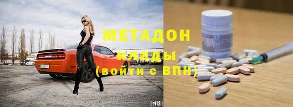 индика Аркадак
