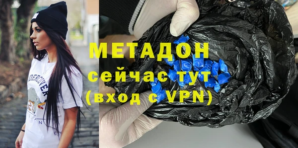 индика Аркадак