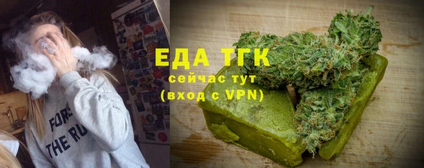 индика Аркадак