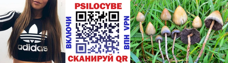 Псилоцибиновые грибы ЛСД  где можно купить   Баймак 